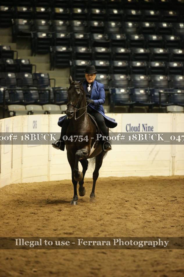 Proof 18BUCK_04754