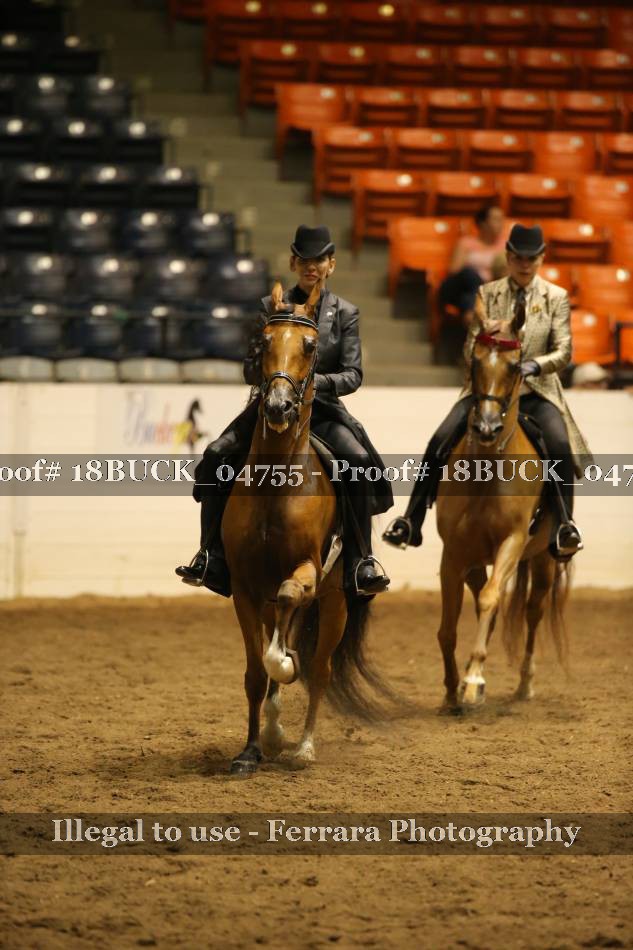 Proof 18BUCK_04755