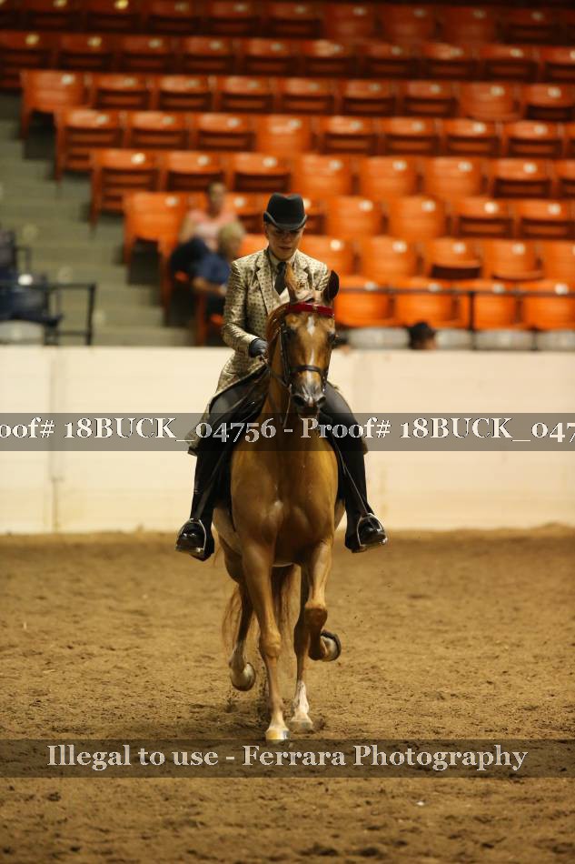 Proof 18BUCK_04756
