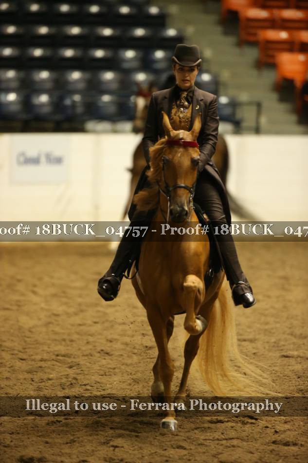 Proof 18BUCK_04757