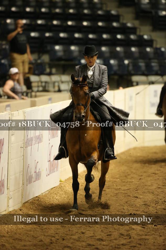 Proof 18BUCK_04758