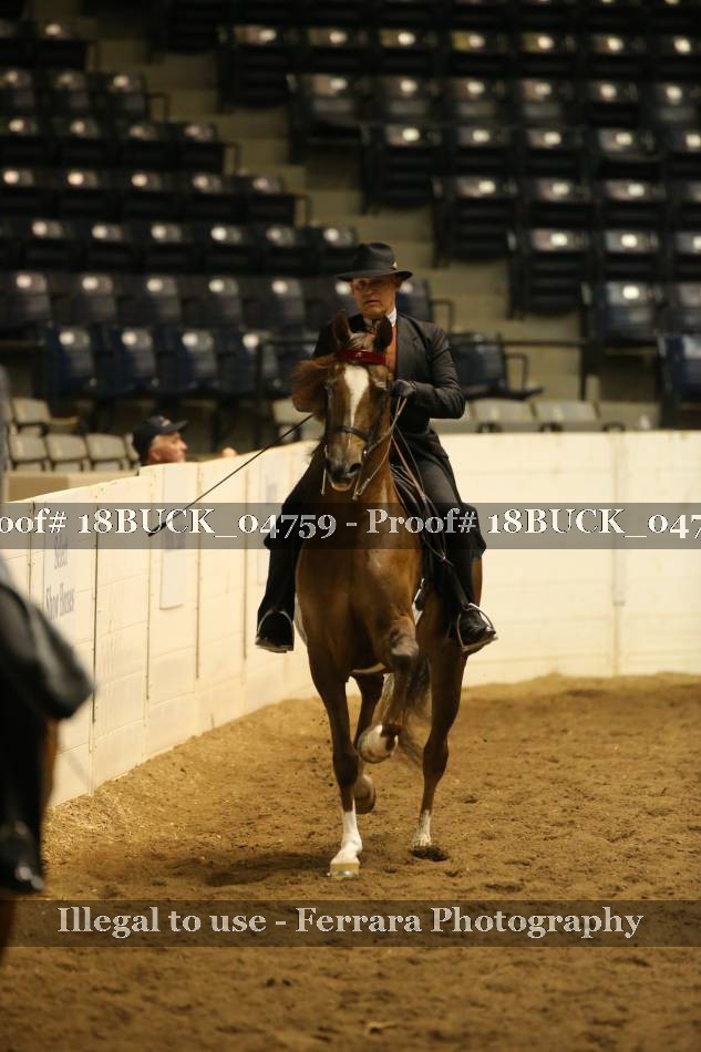 Proof 18BUCK_04759