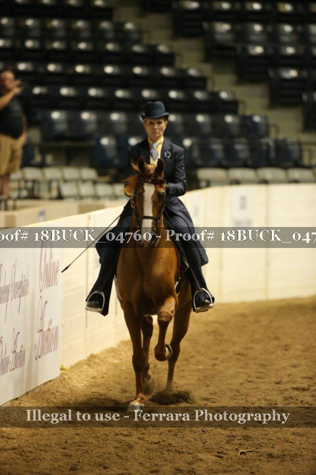 Proof 18BUCK_04760