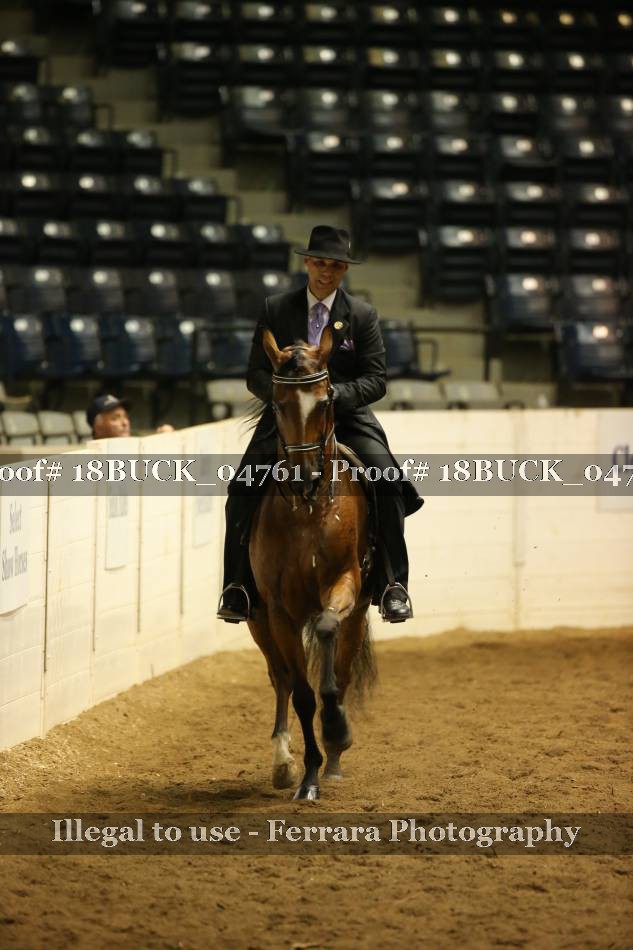 Proof 18BUCK_04761