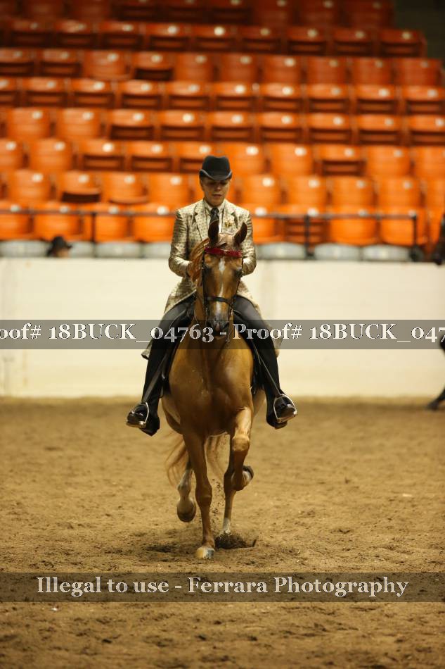 Proof 18BUCK_04763