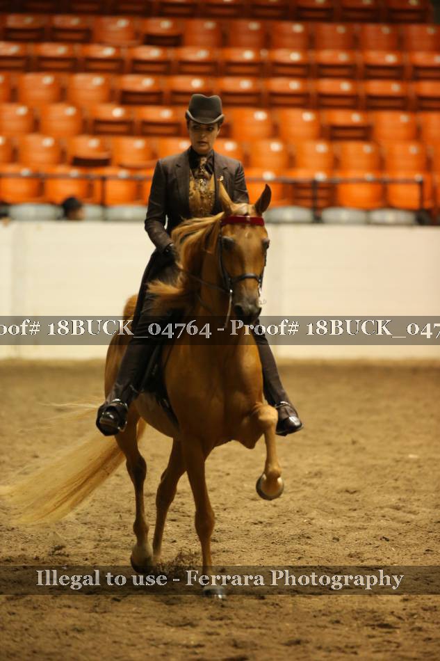 Proof 18BUCK_04764