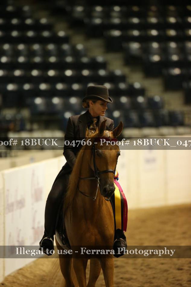 Proof 18BUCK_04766