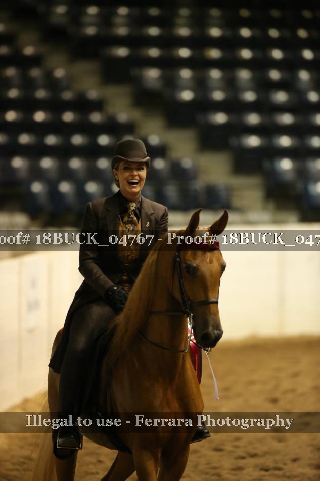 Proof 18BUCK_04767