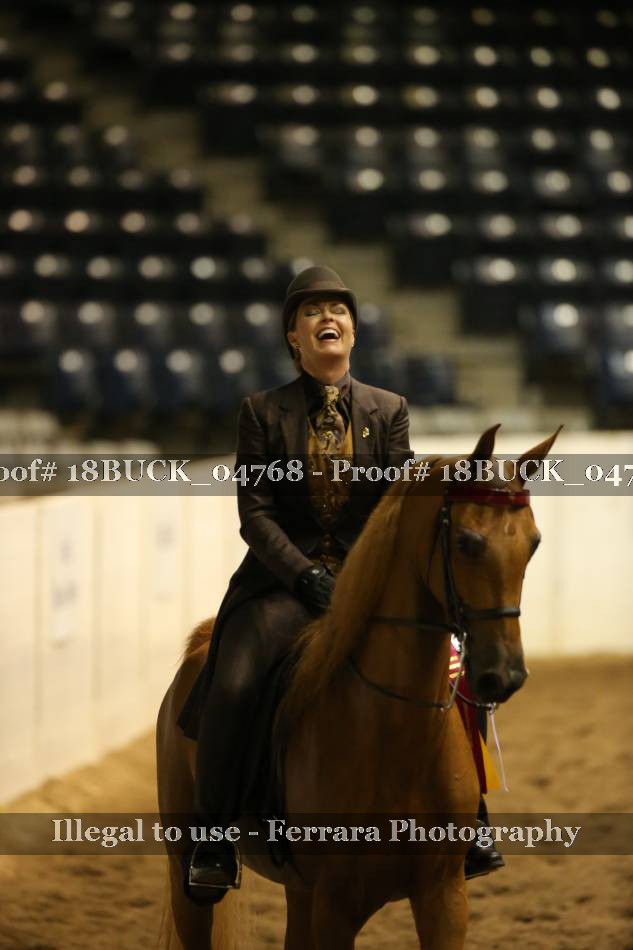Proof 18BUCK_04768