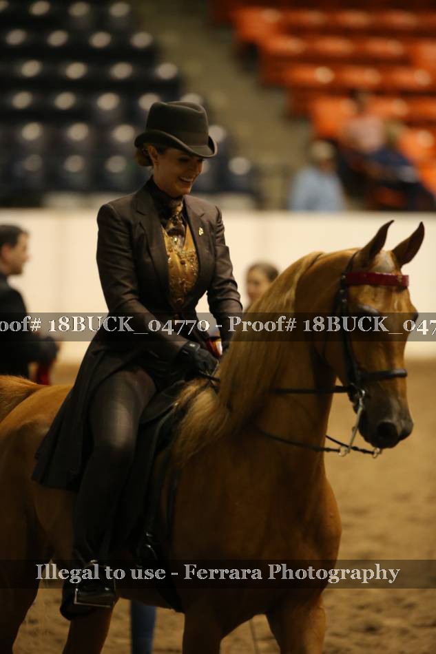 Proof 18BUCK_04770