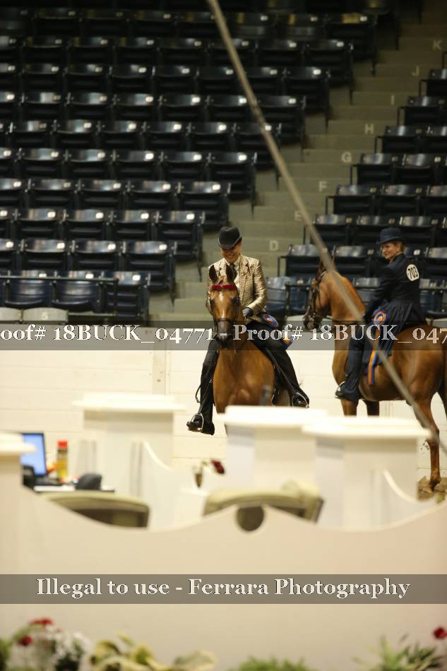 Proof 18BUCK_04771