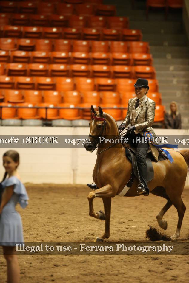 Proof 18BUCK_04772