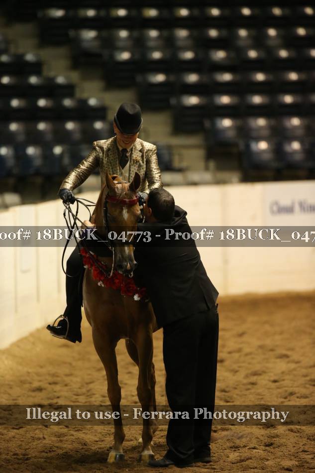 Proof 18BUCK_04773
