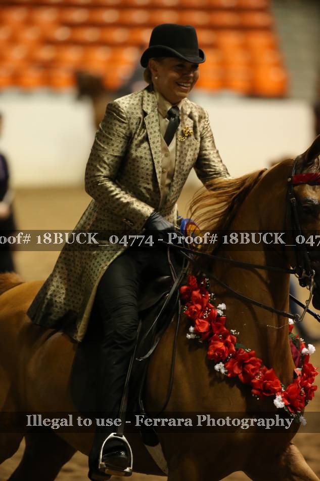 Proof 18BUCK_04774