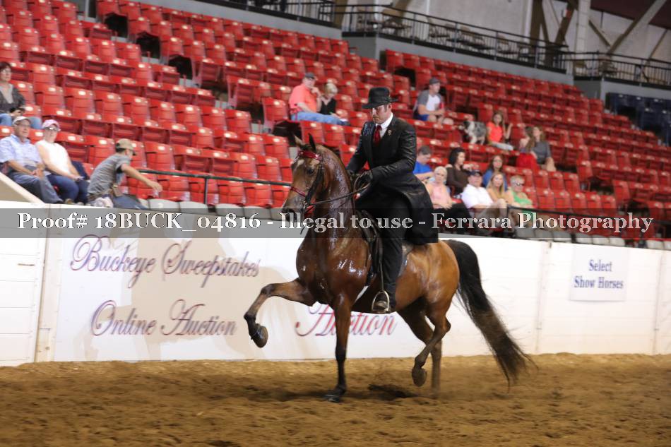 Proof 18BUCK_04816