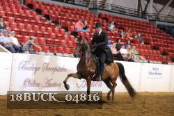 18BUCK_04816 proof