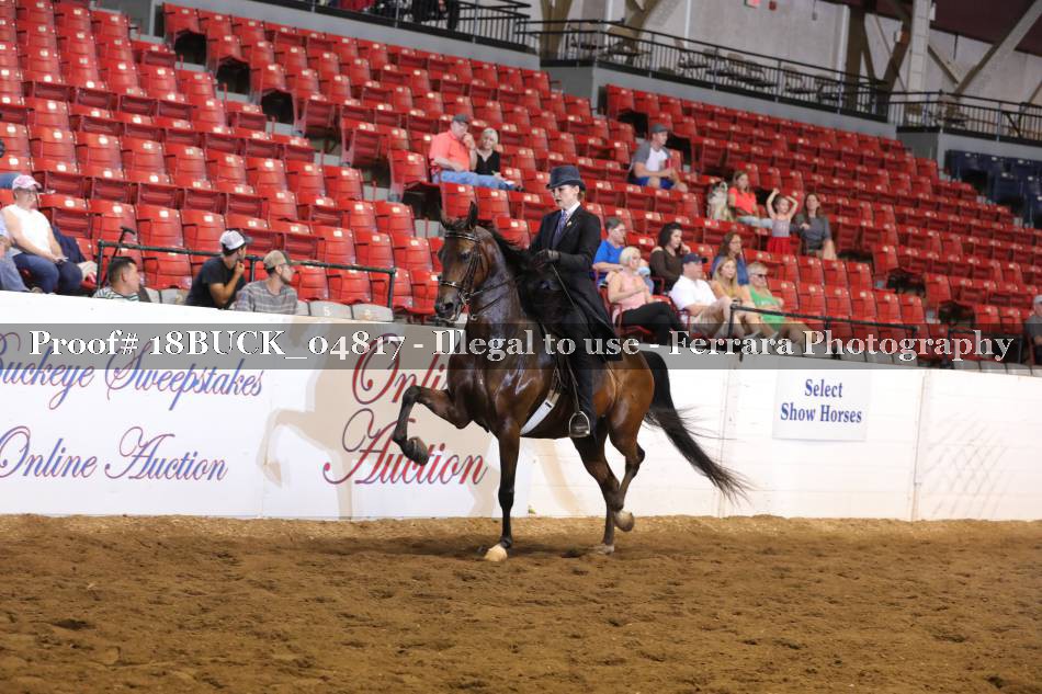 Proof 18BUCK_04817