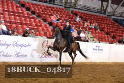 18BUCK_04817 proof