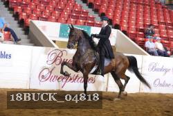 18BUCK_04818 proof