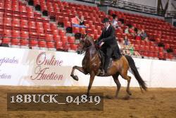 18BUCK_04819 proof