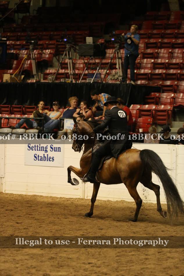Proof 18BUCK_04820