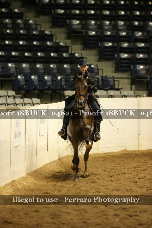 Proof 18BUCK_04821