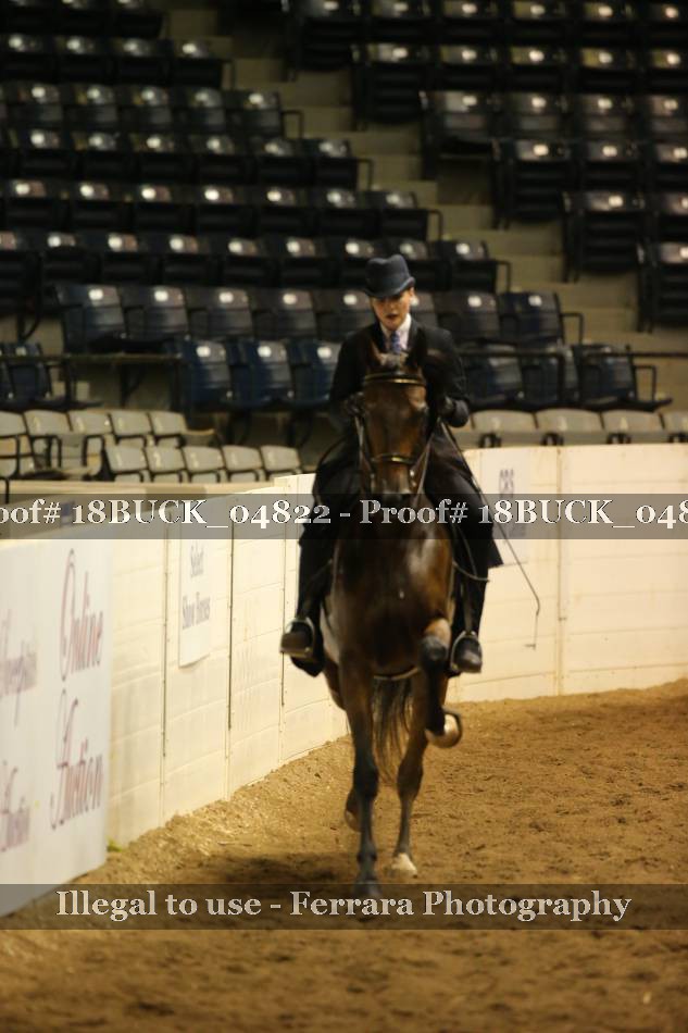 Proof 18BUCK_04822
