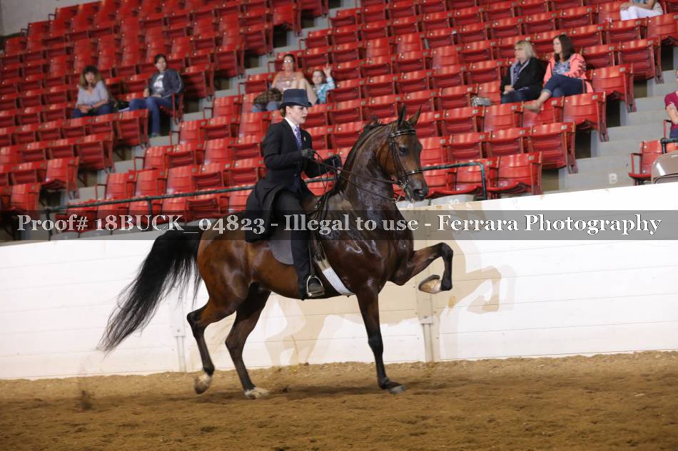 Proof 18BUCK_04823