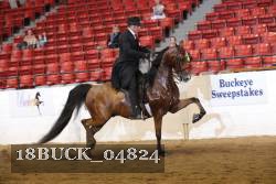 18BUCK_04824 proof