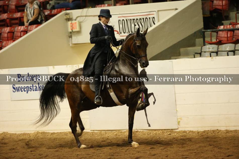 Proof 18BUCK_04825
