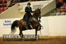 18BUCK_04825 proof