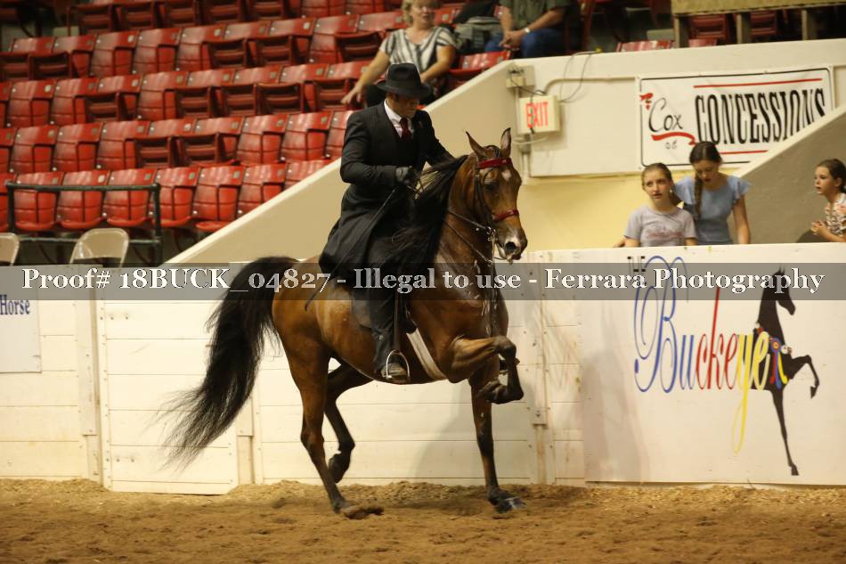Proof 18BUCK_04827