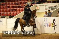 18BUCK_04827 proof