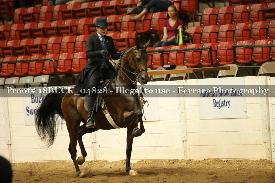 Proof 18BUCK_04828