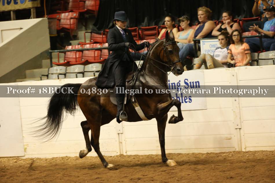 Proof 18BUCK_04830