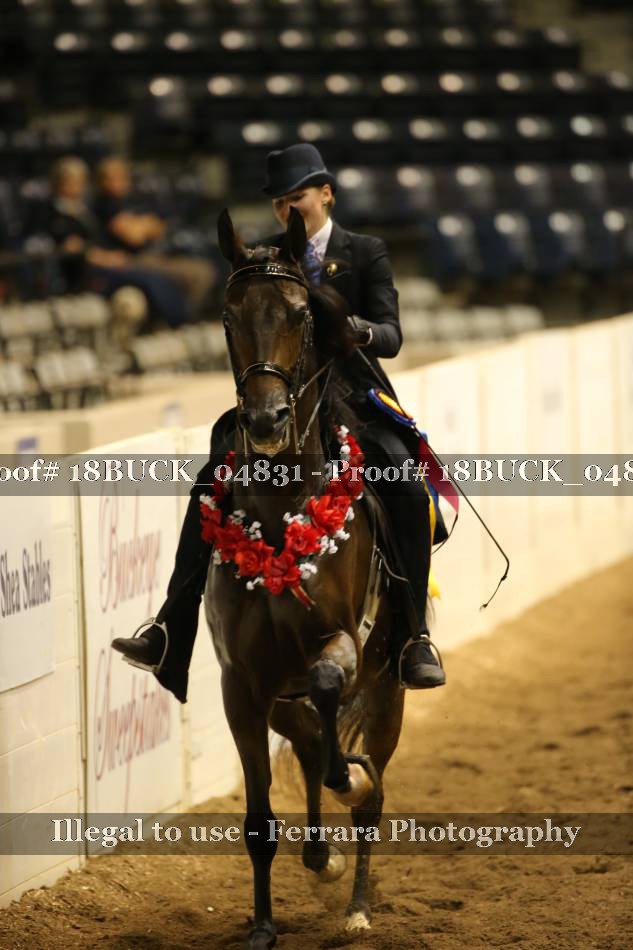 Proof 18BUCK_04831