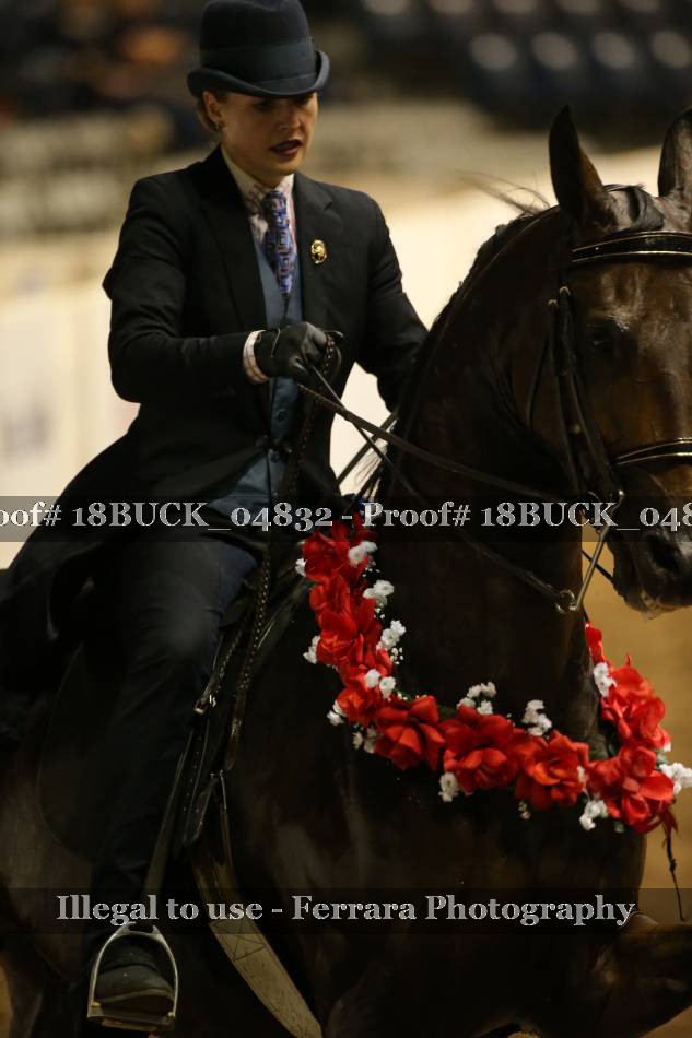 Proof 18BUCK_04832