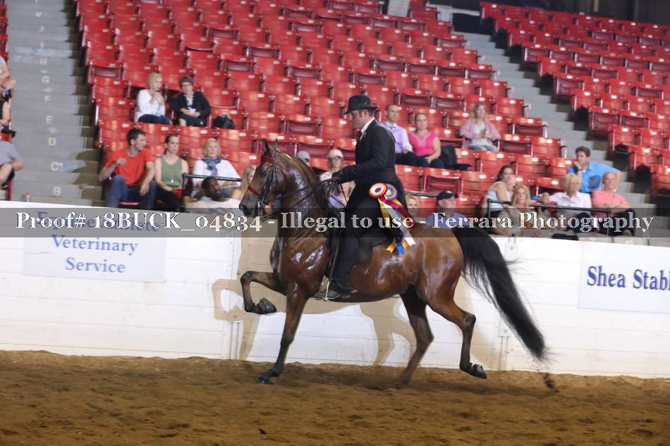 Proof 18BUCK_04834
