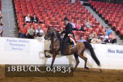 18BUCK_04834 proof