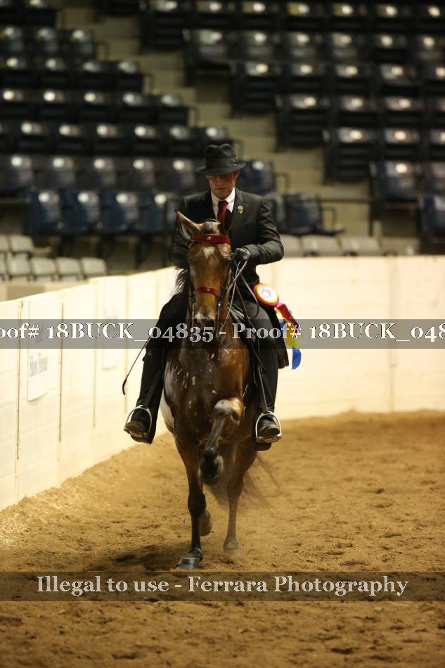 Proof 18BUCK_04835