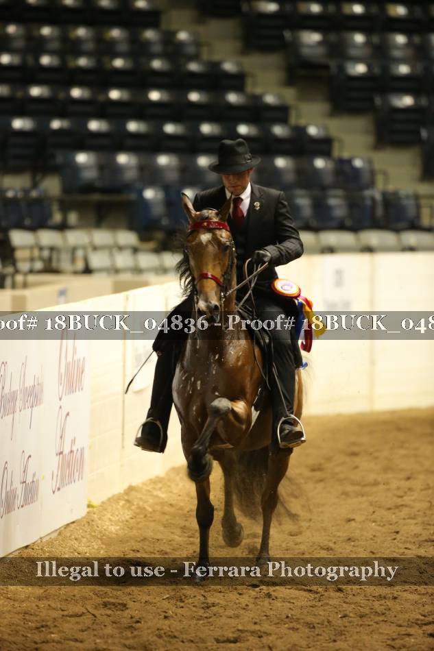 Proof 18BUCK_04836
