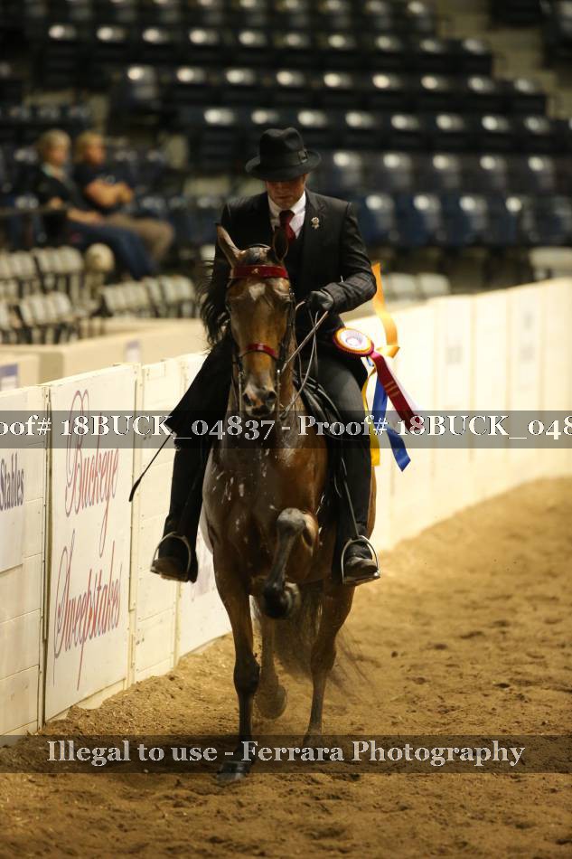 Proof 18BUCK_04837