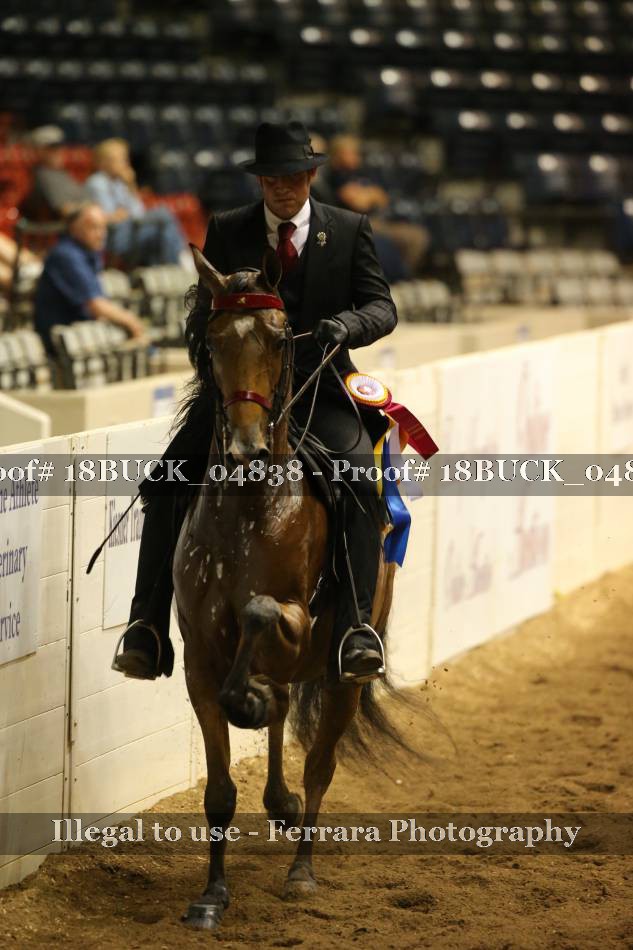 Proof 18BUCK_04838