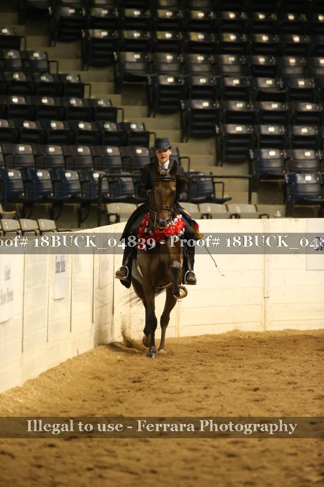 Proof 18BUCK_04839
