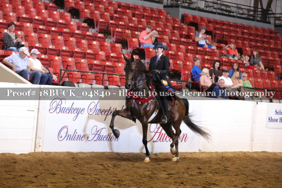Proof 18BUCK_04840