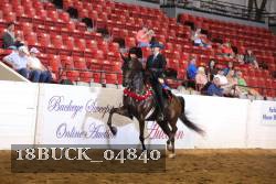 18BUCK_04840 proof