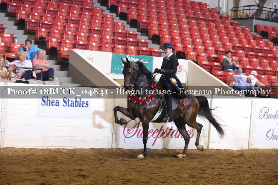 Proof 18BUCK_04841
