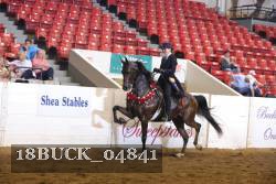 18BUCK_04841 proof