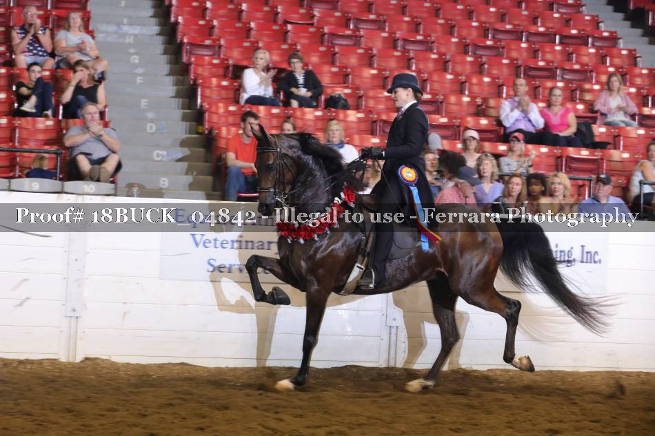 Proof 18BUCK_04842