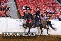 18BUCK_04842 proof